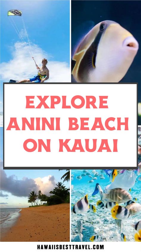 Explore Anini Beach on Kauai with activities like kite surfing, vibrant fish encounters, and scenic beach walks. Anini Beach Kauai, Kauai North Shore, Anini Beach, North Shore Kauai, Hawaii Trip Planning, Hawaii Vacation Tips, Hawaii Itinerary, Kauai Travel, Kauai Vacation