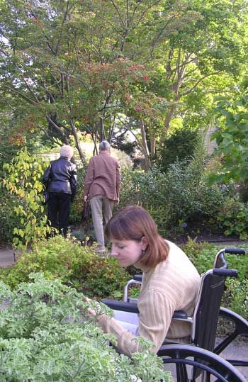 Healing Garden Design, Hospital Garden, Horticulture Therapy, Cleveland Botanical Garden, Eco City, Children Hospital, Elder Care, Healing Garden, Gardening Gear