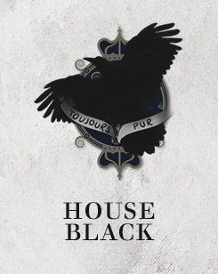 Black Harry Potter, Regulus Acturus Black, House Of Black, Walburga Black, Ancient Houses, Potters House, Buku Harry Potter, Harry Potter Houses, Regulus Black