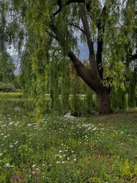 London Picnic Aesthetic, London Garden Aesthetic, London Parks Aesthetic, London Park Aesthetic, Hyde Park London Aesthetic, Hyde Park Aesthetic, Summer In London Aesthetic, London Countryside, Parks In London