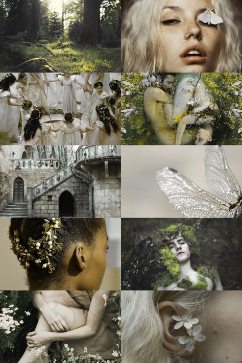 {The seelie court} Duty before passion, Tradition over change, Honor over all, Glamour shall be used with righteousness. Led by Queen Titania, beauty and justice rule the Seelie Court. It is the counterpart to the Unseelie Court. Humans that chose this court will have access to water and earth elements. Will you choose to ally with the seemingly pure court? There is more than meets the eye.{12/12} The Seelie Court, Seelie Court, Human Kindness, History Painting, Magic Aesthetic, Witch Aesthetic, Story Inspiration, Aesthetic Collage, Color Inspiration