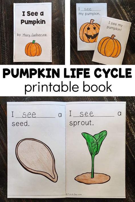 Free Pumpkin Life Cycle Printable Book Pumpkin Life Cycle Lesson Plan, Life Cycle Of A Pumpkin Kindergarten, Pumpkin Life Cycle Preschool Craft, Pumpkin Life Cycle Activities, Pumpkin Life Cycle Craft Preschool, Pumpkin Pumpkin Book Activities, Life Cycle Of Pumpkin Preschool, Free Pumpkin Life Cycle Printable, Pumpkin Life Cycle Preschool Free