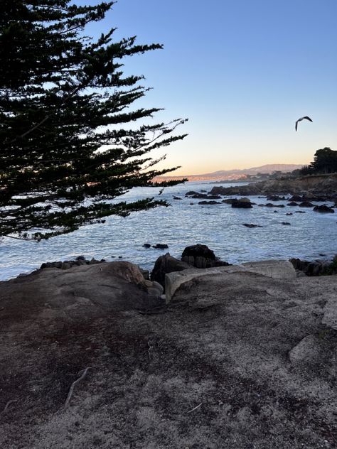 Monterey beach, vacation, Monterey bay aquarium, ocean, bird, scenery, beach scenery, beach aesthetic, good wallpaper, iPhone wallpaper Shopping Vibes, Monterey Beach, Cozy Weather, Monterey Bay Aquarium, Dream Beach Houses, Dream Beach, Monterey Bay, Beach Houses, Monterey