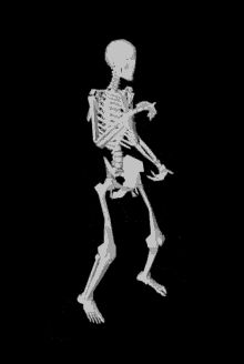 Dancing Skeleton Gif, Cute Halloween Gif, Verknipte Humor, Gif Photos, Dance Gif, Halloween Eve, Skeleton Dance, Happy Gif, Halloween Gif