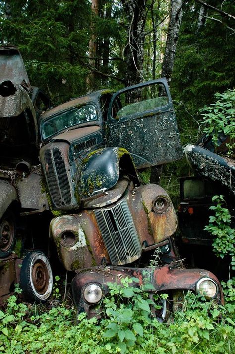 truck junk yard Car Graveyard, Abandoned Vehicles, Pompe A Essence, Rust In Peace, Rust Belt, Rusty Cars, Old Truck, Chateau France, Autumn Scenes