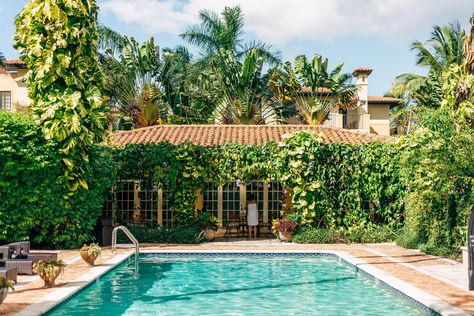 Hotel Escalante Naples Florida Wedding Photographer Pool Side Garden // www.StillsByHernan.com Pool Side Garden, Naples Florida Wedding, Naples Florida Wedding Venues, Botanical Garden Wedding Florida, The Calile Hotel Wedding, Underwater Hotel Florida, The Fives Beach Hotel & Residences Wedding, Florida Pool, Florida Wedding Venues