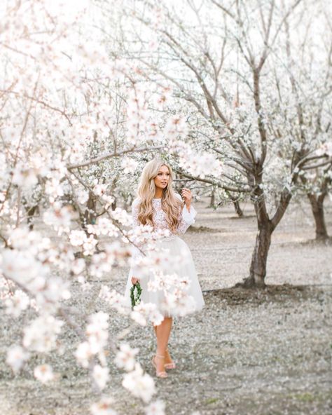 You will be missed almond blossoms!! 👋🏼Till next spring!! mode Almond Orchard Photoshoot, Orchard Photography, Almond Orchard, Cherry Blossom Pictures, Almond Flower, Almond Blossoms, Cherry Blooms, Field Photoshoot, Cute Engagement Photos