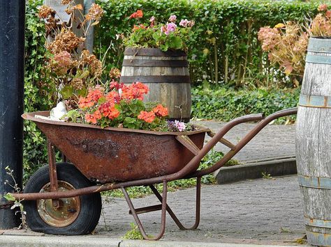 Keep that old country look intact by using the old tool to your advantage! The more beat up, the better! Filling an antique wheelbarrow with plants or flowers will definitely keep that country chic vibe. Even a wheelbarrow that has some rust, or in this case, a flat tire will add to that rustic look of an old country farm house. Anything can be spruced up with bright flowers! Dyi Garden, Indoor Gardening Supplies, Wheelbarrow Planter, Cheap Garden, Wheelbarrow Garden, Wheelbarrows, Rustic Planters, Garden Containers, Garden Club