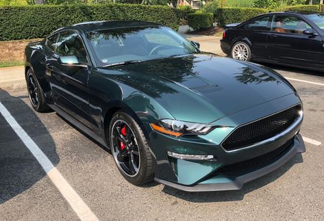 Dark Highland Green 2019 Ford Mustang Mustang Paint Jobs, Dark Green Car Paint, Dark Green Mustang, Car Colors Paint Ideas, Green Ford Mustang, Truck Paint Jobs, Green Mustang, Black Mustang, Lights Wallpaper