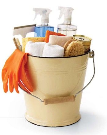 Cleaning bucket Product Organizer, Cleaning Bucket, Pantry Inspiration, Cleaning Buckets, Cheap Trick, Small Kitchen Decor, Interior Decorating Styles, Cleaning Companies, Martha Stewart Living