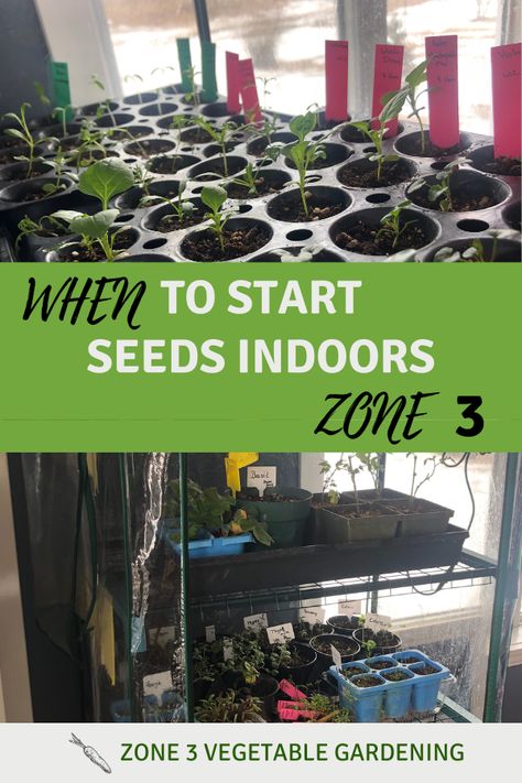 When To Plant Seeds, Planting Seeds Indoors, Seedlings Indoors, When To Plant Vegetables, Homestead Life, Gardening Zones, Plant Zones, Starting A Vegetable Garden, Starting Seeds Indoors