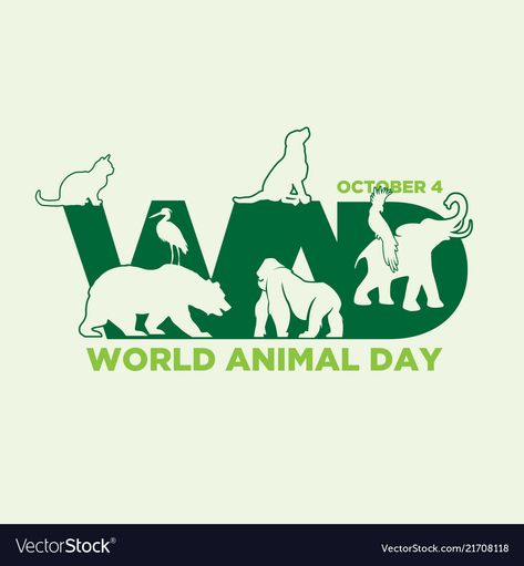 World Animal Welfare Day, World Animal Day, Animal Day, National Cat Day, Fun Facts About Animals, Digital Media Marketing, Ecommerce Marketing, Tatty Teddy, Veterinary Clinic