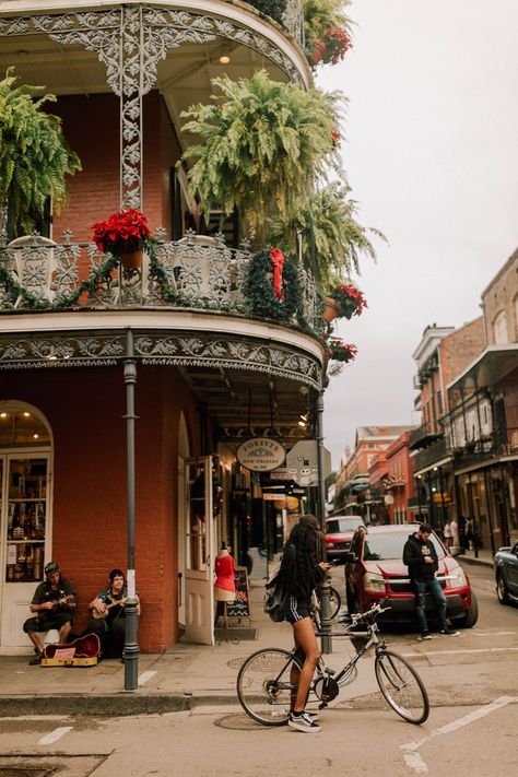 Christmas New Orleans, New Orleans Apartment Interior, New Orleans Pictures Ideas, New Orleans Jazz Aesthetic, Nola Aesthetic, Christmas In New Orleans, New Orleans Swamp, Off The Beaten Path Travel, New Orleans Photography