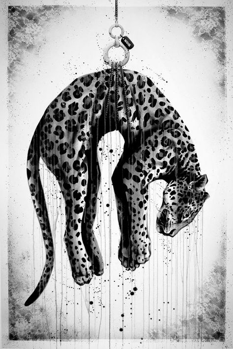 Animal Protection Poster, Animal Cruelty Art, Big Cats Art, Unique Drawings, Poster Drawing, Save Animals, A Level Art, Animal Posters, Black And White Illustration