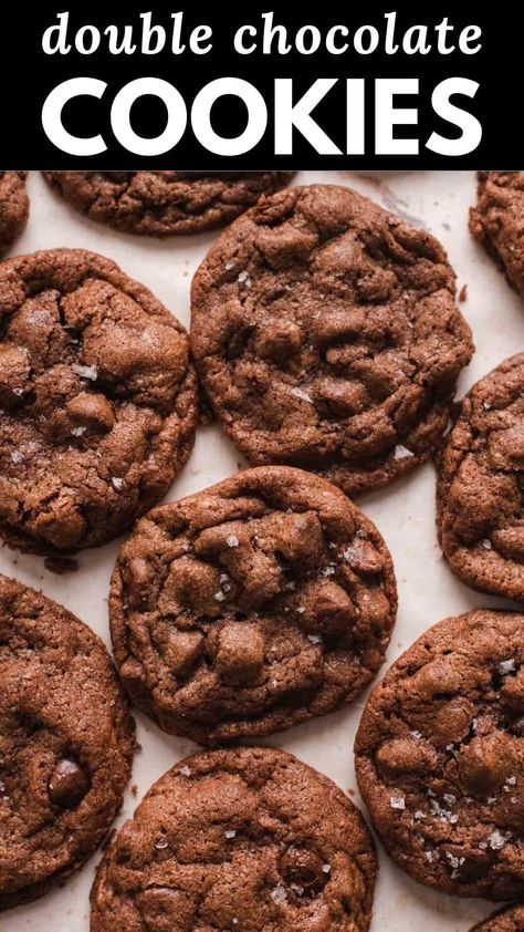 Chocolate chocolate chip cookies are a chocolate lovers dream! These are rich, chewy cookies made with a chocolate base and chocolate chips. And they are ready in under 30 minutes with no chill time required! Cookies Made With Chocolate Chips, Easy Chocolate Chocolate Chip Cookies, Best Chocolate Chocolate Chip Cookies, Dark Chocolate Chocolate Chip Cookies, Chocolate Chocolate Chip Cookies Recipe, Cookies Using Chocolate Chips, Chocolate Chocolate Chip Cookie Recipe, Recipes With Chocolate Chips, Nestle Chocolate Chip Cookie Recipe