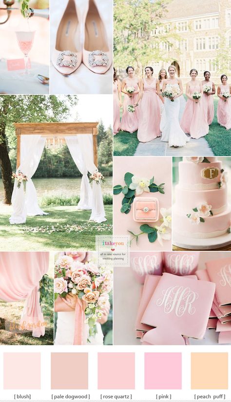 Blush pink wedding theme - blush pink wedding colour | itakeyou.co.uk #wedding #weddingcolour #weddingtheme #blush #pink #gardenwedding #springwedding Fall Wedding Pink, Blush Pink Wedding Theme, Blush Pink Theme Wedding, Baby Pink Wedding, Pastel Wedding Colors, Pastel Pink Weddings, Wedding Color Scheme, Wedding Color Palettes, Pink Wedding Colors