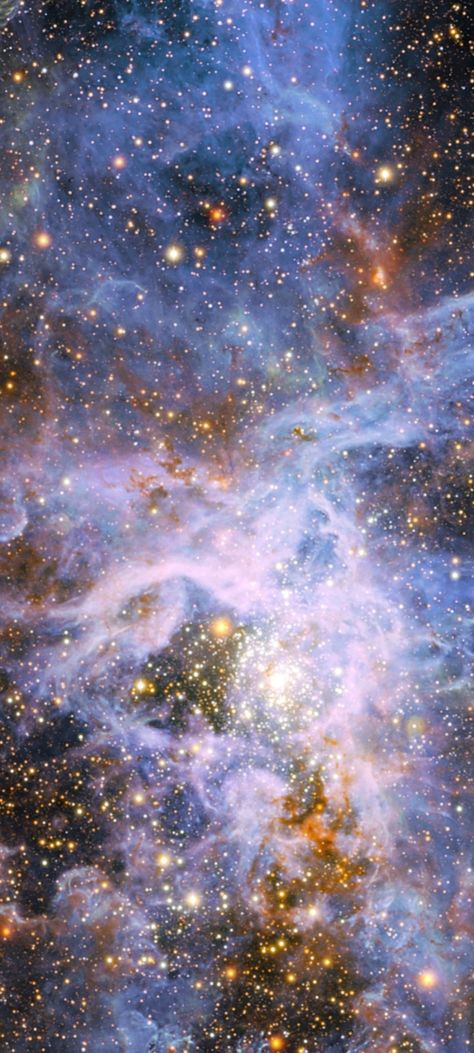 Tarantula Nebula, Magellanic Cloud, Nebulas, Vivid Dreams, It Goes On, Deep Space, Vertical Garden, Outer Space, Mobile Wallpaper