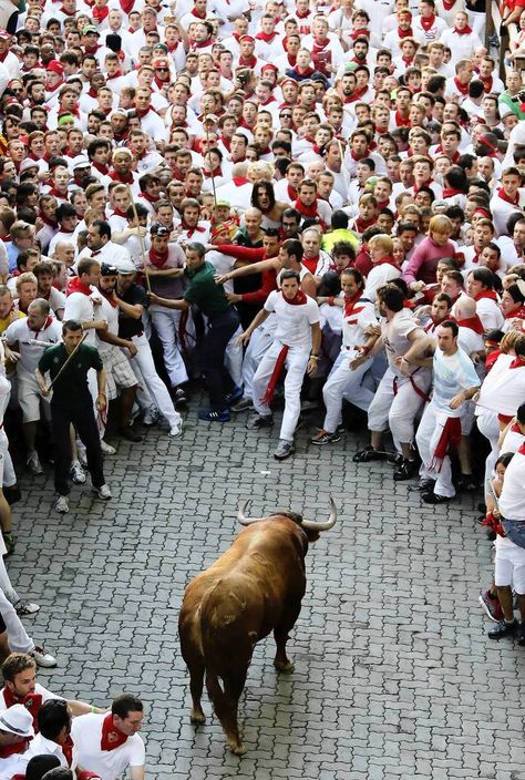 Run alongside six fighting bulls through the streets of Pamplona on the first day of the Running of the Bulls. Pamplona Spain, Crazy Party, Running Of The Bulls, Spanish Culture, Festivals Around The World, Bull Run, A Bull, Basque Country, Pamplona