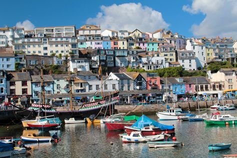 Brixham, South Devon Tummy Bug, Image Book, Contaminated Water, South Devon, Seaside Town, Ocean Drive, Seaside Towns, Drinking Water, Devon