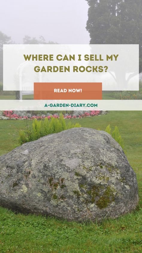 Garden rocks taking up space in your yard? Sell them for a profit! Discover where to sell your garden rocks, whether you have decorative stones, large boulders, or small pebbles. From online platforms to local buyers, find out how to connect with the right audience and turn those rocks into cash. Clear your space and boost your income! What To Do With Large Rocks In Yard, Garden Rocks, Superhero Movie, Garden Diary, Decorative Stones, Where To Sell, Rock Types, Local Farmers Market, I Get It