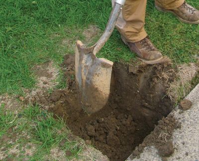 Digging the Perfect Post-Hole - Extreme How To Garden Spade, Digging Holes, Mailbox Posts, Golden Bird, Digging Tools, Lawn And Landscape, Companion Planting, Horror Story, American Horror