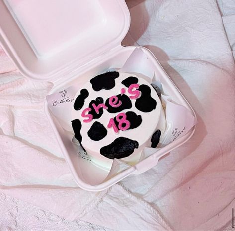 Cow Print Cake, Cow Print Cakes, 29 Birthday, Cow Cakes, Small Cow, Bento Cakes, Bento Cake, 29th Birthday, Bday Cake