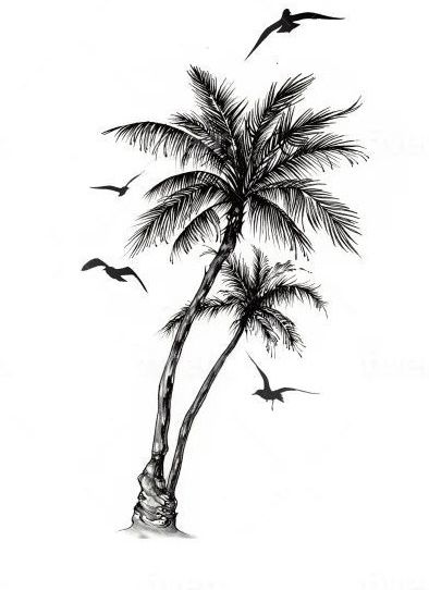 Skull And Palm Tree Tattoo, Palm Trees Tattoo Men, Coconut Tattoo Design, 3 Palm Tree Tattoo, Palm Tree Reference, Flower Roots Drawing, Coconut Palm Tree Tattoo, Men Palm Tree Tattoo, Palm Tree Drawing Sketches