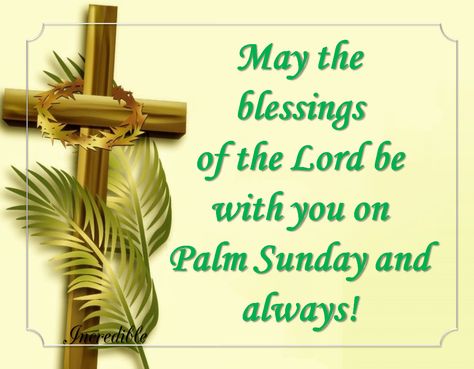 May The Blessings Of The Lord Be With You On Palm Sunday Palm Sunday Blessings, Palm Sunday Images, Easter Quotes Religious, Palm Sunday Quotes, The Holy Week, Happy Palm Sunday, Sunday Pictures, Good Sunday Morning, Holy Saturday