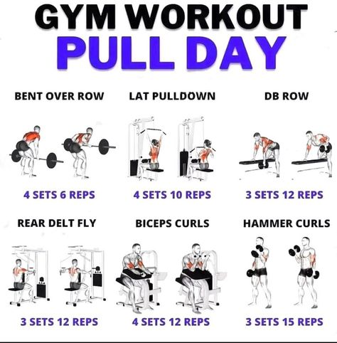 Pull Day Exercise, Pull Day Exercises, Pull Day Exercises Gym, Pull Day Exercises Women, Pull Day Exercises For Women, Pull Day Workout Exercise, Pull Day Back Exercises. Improve Physical Health, Boxing Workout Routine, Push Day Workout, Pull Day, Pull Day Workout, Back And Bicep Workout, Gym Motivation Videos, Fitness Studio Training, Workout Gym Routine