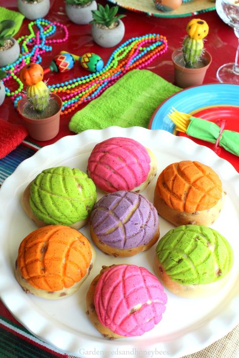 Cinco de Mayo Conchas - Garden Seeds and Honey Bees Country Desserts, Honey Bees, Fiesta Party, Fun Food, Garden Seeds, Mexican Food Recipes, Food Blog, Watermelon, Sugar Cookie