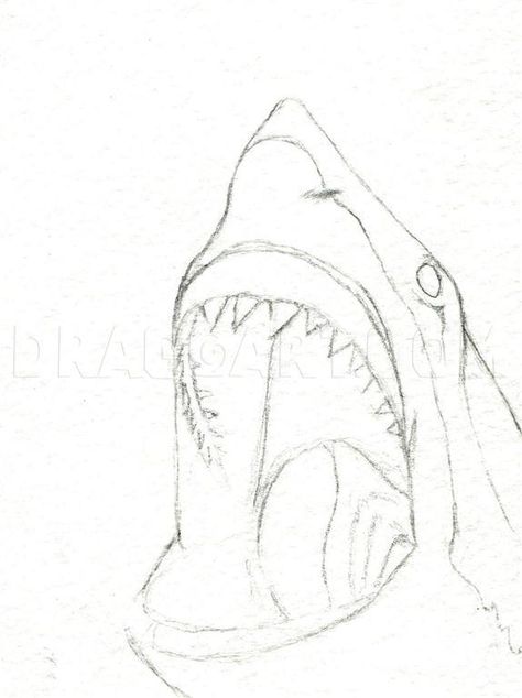 How To Draw A Shark Head, Step by Step, Drawing Guide, by finalprodigy | dragoart.com How To Sketch Animals Step By Step, Big Shark Drawing, Drawing Shark Easy, Cool Ocean Drawings, How To Draw Sea Animals Step By Step, Ocean Animals Drawing Realistic, Cool Shark Drawings, Cute Shark Drawing Easy, Sea Animals Drawing Realistic