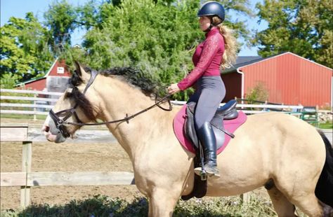 Free Spirit Equestrian, Cute Horse Riding Outfits, Horse Riding Clothes, Cute Horses, Riding Outfit, Horseback Riding, Horse Riding, Free Spirit, Equestrian