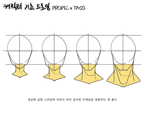 Neck sizes vary based on the age, gender and build of your character. Taco Anatomy Head, Taco 1704 Head, Taco Anatomy, Propic Taco, Taco Drawing, Concept Drawing, Taco Taco, Anime Tutorial, Body Drawing Tutorial