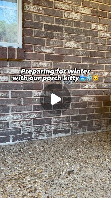 Emma Waters on Instagram: "Comment HOUSE & I’ll DM you the direct link for the insulated cat house! This insulated cat house from @khpet has been a life saver during those cold winter months for our outdoor cat! #insulatedcathouse #amazoncatfind #outdoorcathack #cats" Waterproof Cat House Outdoor, Diy Winter Cat House, Diy Insulated Cat House Winter, Diy Outside Cat House For Winter, Diy Insulated Cat House, Outdoor Cat House For Winter Diy, Winter Cat House Outdoor, Outside Cat House For Winter, Outside Cat House Diy