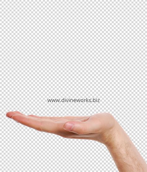 Hands Presenting Something, Hand Collage Png, Hand Collage Art, Hand Png For Editing, Hand Holding Something, Hand Png, Photography Mockup, Hand Clipart, Architecture Sketchbook