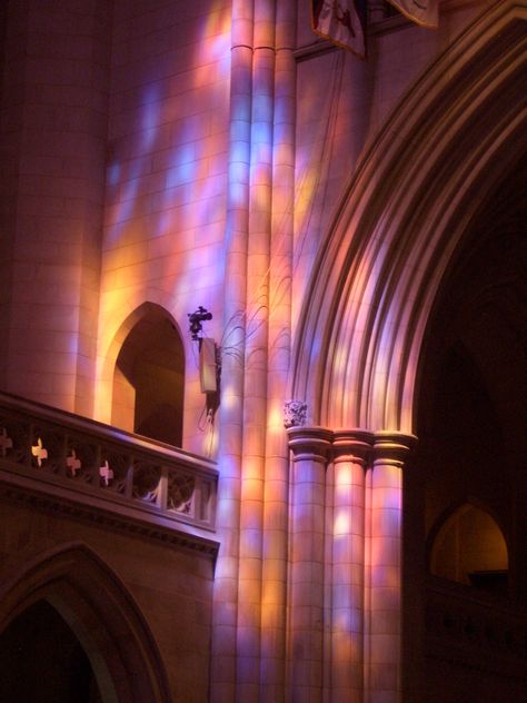 Cathedral Lighting, Modern Cathedral, Sheffield Cathedral, Colonial Facade, Church Lighting, National Cathedral, Aesthetic Interior Design, Church Aesthetic, Small House Interior Design