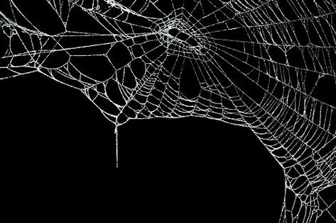 Spider Web Overlay, Gothic Background, Lighting Overlays, Sosua, Gothic Wallpaper, Overlays Transparent, Iphone Pictures, Theme Background, Collage Making