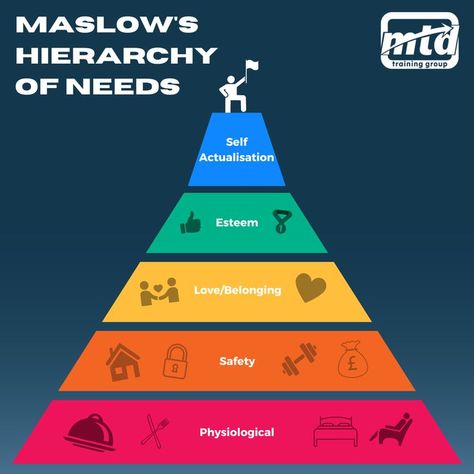 A fundamental psychological theory that breaks down human desires into five key levels. #maslow #maslowshierachyofneeds #learning #development #management #leadership #humanresources #hr Hierarchy Of Needs, Maslow's Hierarchy Of Needs, Learning Development, Self Actualization, Learning And Development, Human Resources, Leadership, Psychology, Train