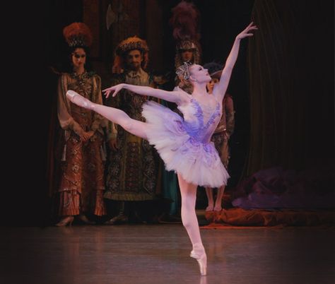 Lilac Fairy, Sleeping Beauty Ballet, Sleeping Beauty Fairies, New York City Ballet, Ballet Pictures, Ballet Performances, Dance Dreams, Ballet Poses, The Ballerina