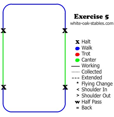 » Beginner Rider Arena Exercises | White Oak Stables Canter Exercises Horses, Horseback Riding Lesson Ideas, Equestrian Flat Work Exercises, Flatwork Exercises Horses, Polework Exercises Horse, Dressage Exercises Training, Equine Therapy Activities, Riding Ideas, Riding Exercises