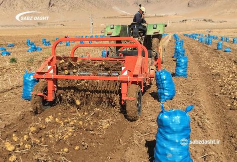 Potato harvester for wet soil Potato Harvester Machine, Potato Harvesting, Farm Tools And Equipment, Potato Harvester, Potato Digger, Harvester Machine, Harvesting Machine, Potato Planters, Agriculture Machine