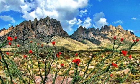 A Wonderful West Texas Road Trip: Stay, Play, and Enjoy Guadalupe Mountains National Park, Guadalupe Mountains, Texas Roadtrip, Desert Mountains, Desert Dream, Southwest Desert, Land Of Enchantment, The Blue Mountains, West Texas