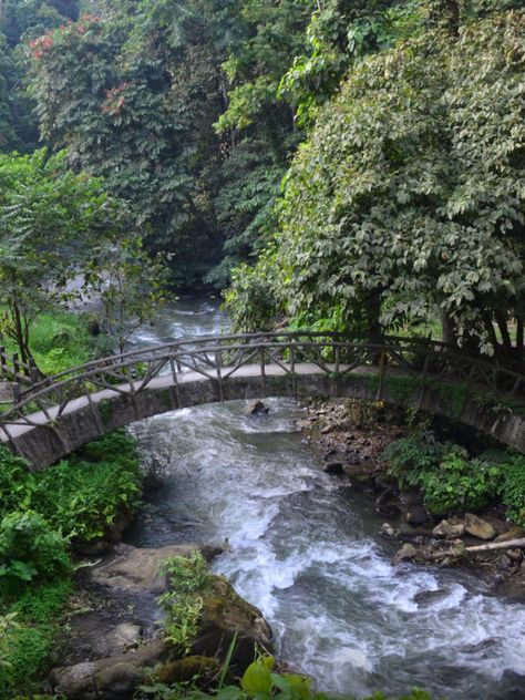 Stream With Bridge, Bridge Over Water, Bridge Over River, Under Bridge, Water Under The Bridge, Building Bridges, Water Coloring, Bridge Over Troubled Water, Wild Waters