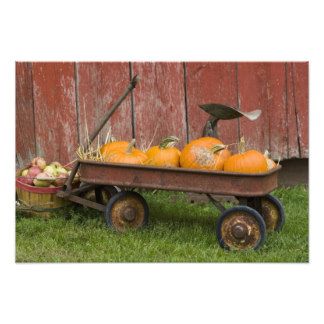 Pumpkin Photo Prints & Photography | Zazzle Fall Wagon Decor, Pumpkin Patch Decoration, Outside Fall Decor, Old Wagons, Fall Mini Sessions, Pumpkin Photos, Fall Arrangements, Red Wagon, Fall Mini