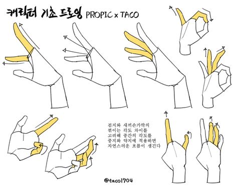 Taco Drawing, How To Draw Fingers, Drawings Tutorials, Draw Hands, Human Anatomy Drawing, Hand Drawing Reference, Body Reference Drawing, Hand Reference, Two Fingers