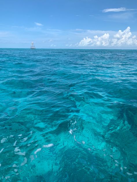 the water of key largo is sooooo beautiful, this pic isnt edited at all it just looks like that😍😍 the ocean is so beautiful #ocean #floridakeys #keylargo #water #waves #nature #beautiful Key Largo Aesthetic, Key West Florida Aesthetic, Key West Florida Photography, Key West Aesthetic, The Keys Florida, Key West Beach, Florida Vibes, Key Largo Florida, Florida Life