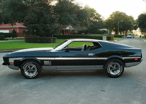 Mach 1 1973 Mustang Mach 1, 1971 Mustang Mach 1, 71 Mustang, 1968 Mustang Gt, 240z Datsun, Ford Mustang 1967, 1973 Mustang, Muscle Cars Mustang, Mustang Mach 1