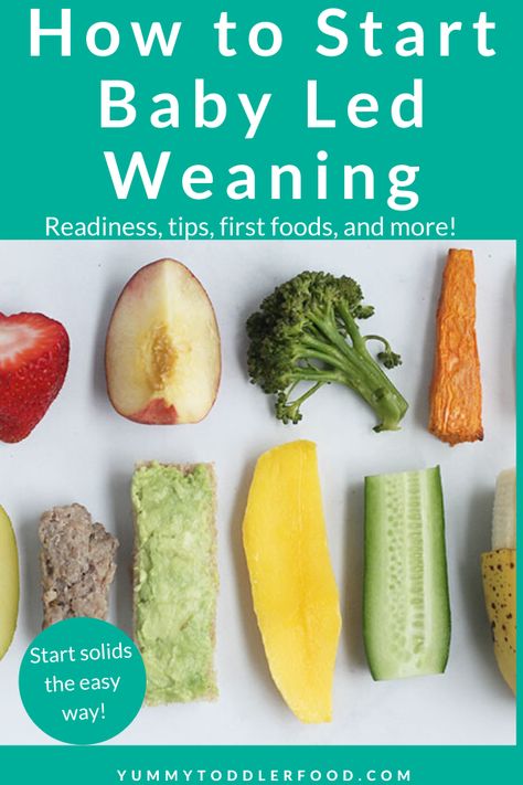 Combining Blw And Purees, Blw 100 First Foods, Blw Day 1, Solid Starts First 100 Days, Blw Eggs, 100 First Foods Blw, Blw First Foods, Best First Foods For Baby, First Foods For Baby