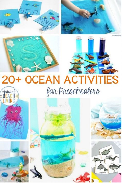 Ocean Activities For Kids, Ocean Activities Preschool, Ocean Theme Preschool, Visual Learner, Sea Activities, Ocean Unit, Ocean Birthday, Ocean Activities, Ocean Kids