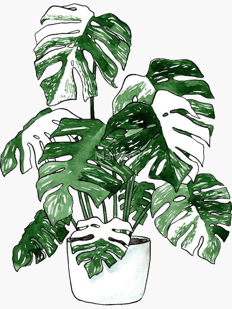 Monteras Plant Drawing, Variegated Monstera Tattoo, Monstera Deliciosa Tattoo, Monstera Plant Drawing, Monstera Leaf Art, Botanical Sleeve, House Plant Art, Leaf Aesthetic, Deliciosa Plant